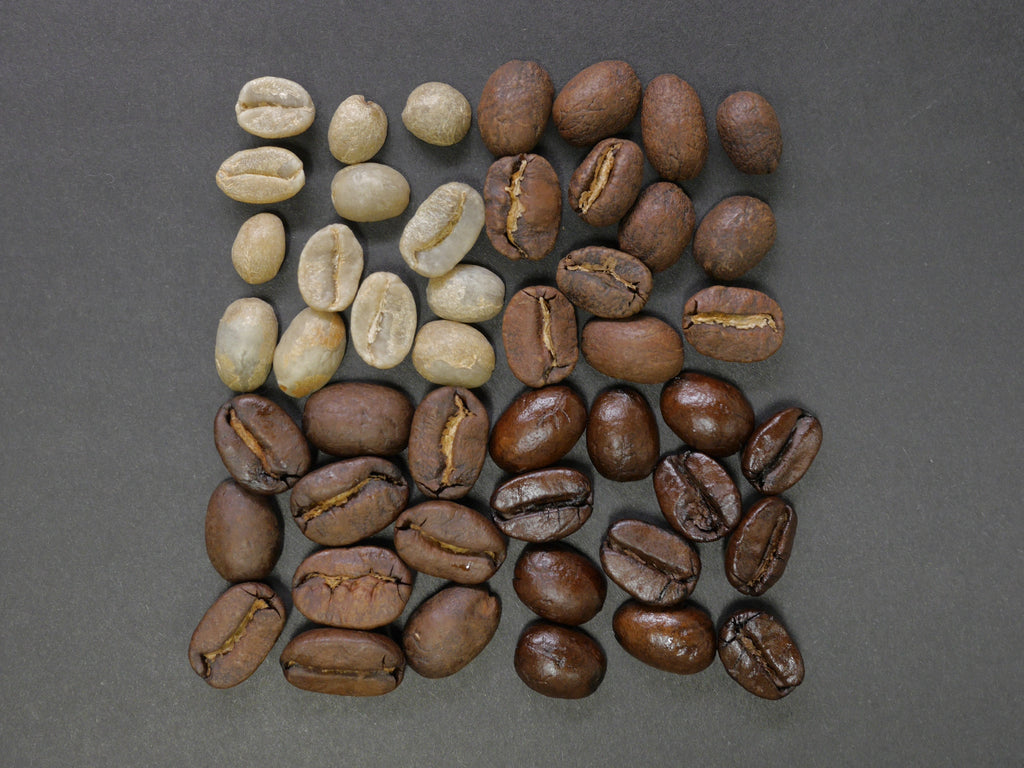 Coffee Roasts from Light to Dark